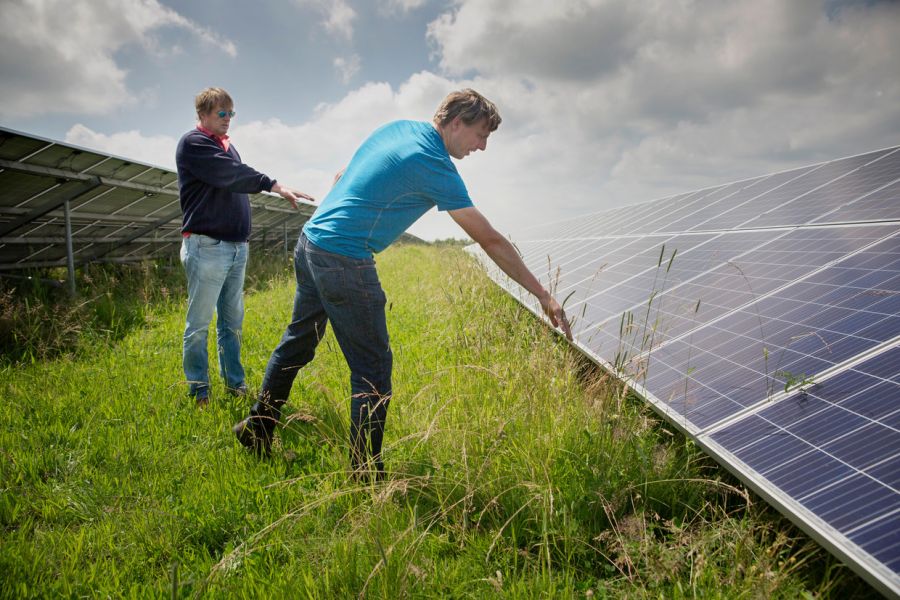 Foto Trouw Ecologisch zonnepark is geen geldmachine maar draag wel zorg voor de natuur